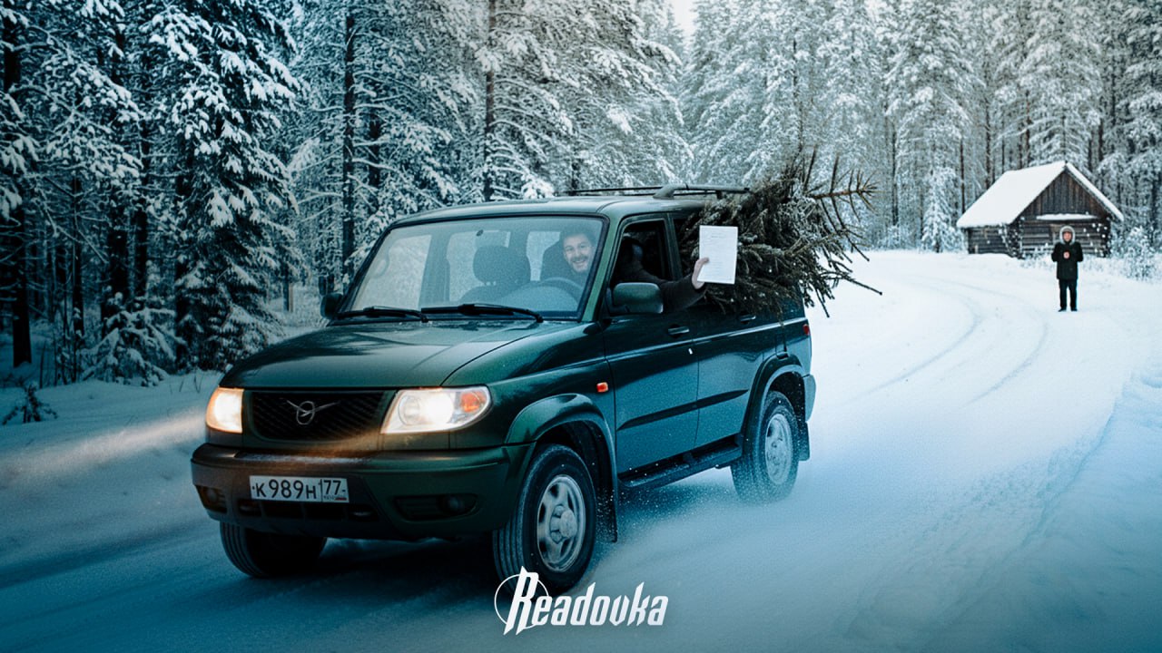 Как срубить елку на Новый год и не нарваться на штраф