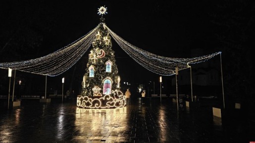 Облачная погода, до +5 градусов ожидается в Псковской области 5 декабря