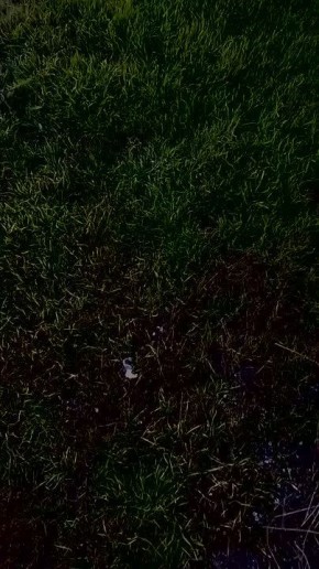 ДРГ российских десантников проводит очередной рейд на острове Карантинный