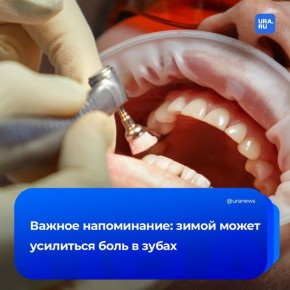 Чувствуете усилившуюся боль в зубах? Зимой у людей чаще обостряются скрытые проблемы с полостью рта: истонченная эмаль, начальный кариес, микротрещины или оголенные участки корня, предупредила стоматолог Великая