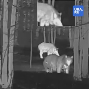 Когда захотели поесть ночью, а у холодильника уже очередь