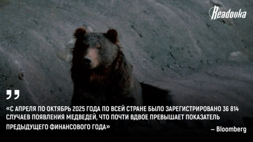 Бурые медведи объявили войну Японии — 230 человек погибли или пострадали от косолапых с апреля