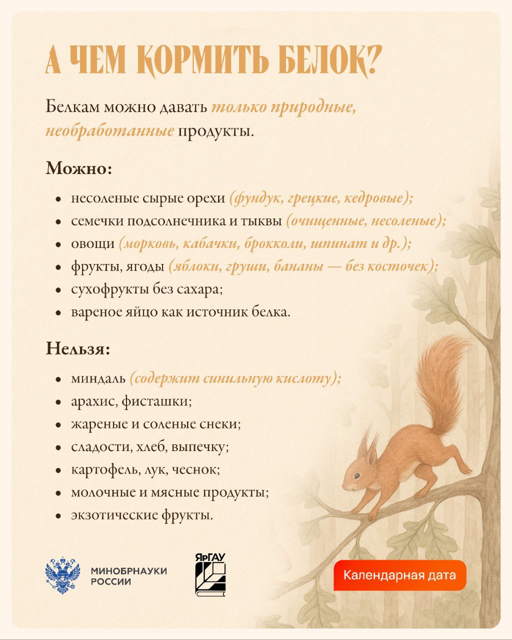 Зимой маленьким обитателям парков и дворов особенно нужна наша поддержка: морозы и нехватка естественного корма усложняют им выживание Зимой маленьким обитателям парков и дворов особенно нужна наша поддержка: морозы и нехватка естественного корма усложняют им выживание