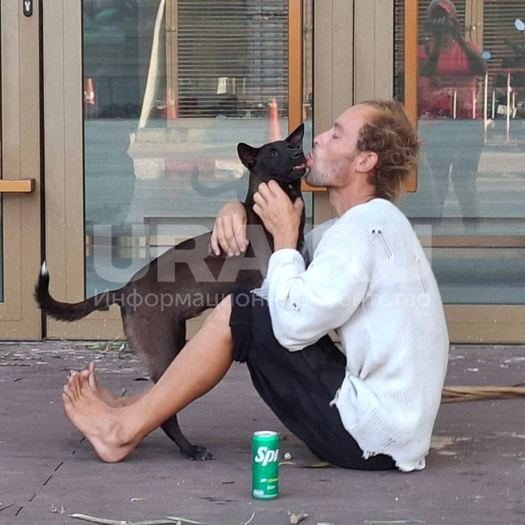 Петербуржец живет на улице Паттайи вместе с бродячей собакой — русские туристы пытаются найти его родных, пока его не арестовали за просроченную визу