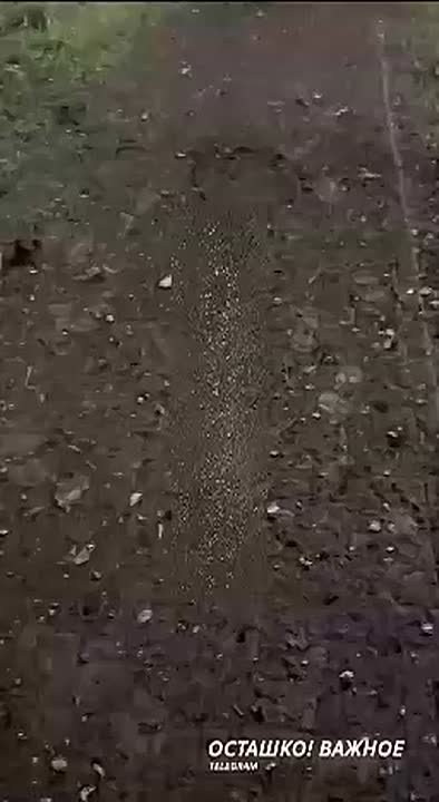 Пять взрывов прогремело в Рязани