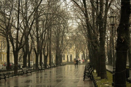 Облачная погода, до +4 градусов ожидается в Псковской области 7 декабря