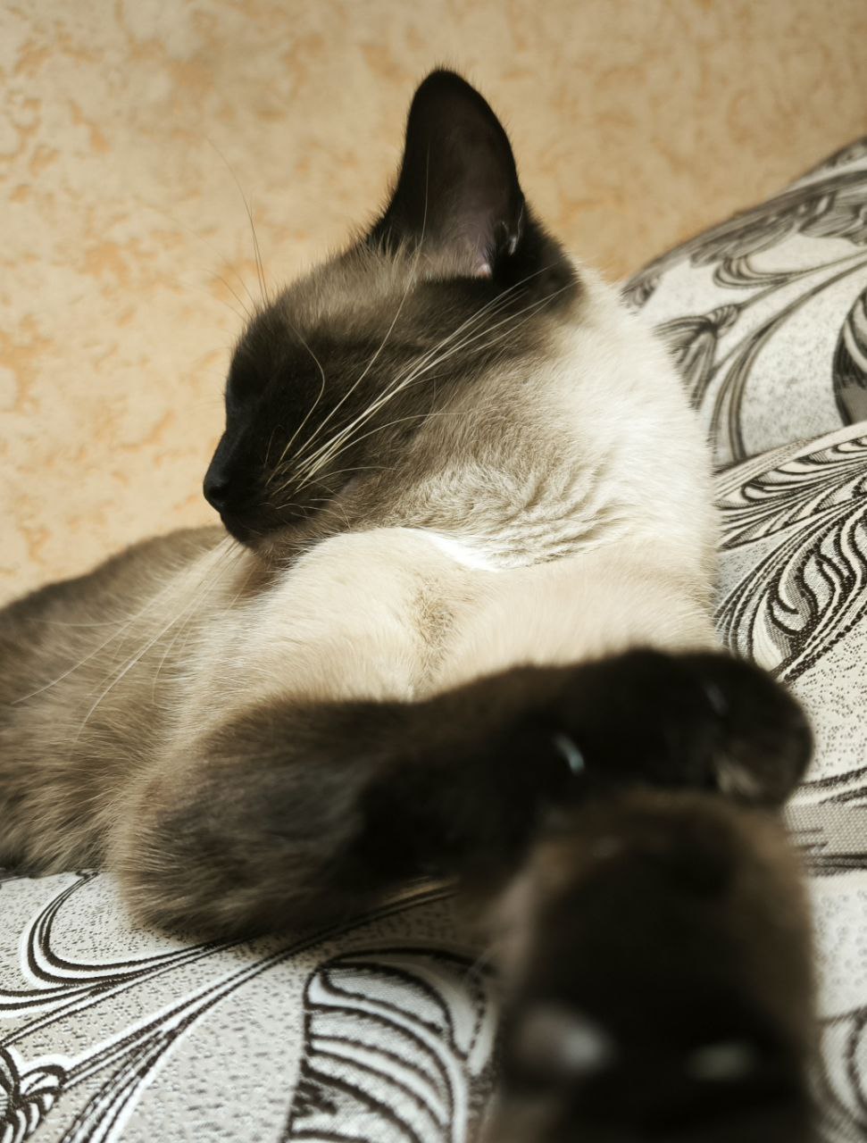 Вера Кондратьева: ДОБРЫЙ ВЕЧЕР. ХОРОШЕГО ЗАВЕРШЕНИЯ ВЫХОДНЫХ Вера Кондратьева: ДОБРЫЙ ВЕЧЕР. ХОРОШЕГО ЗАВЕРШЕНИЯ ВЫХОДНЫХ