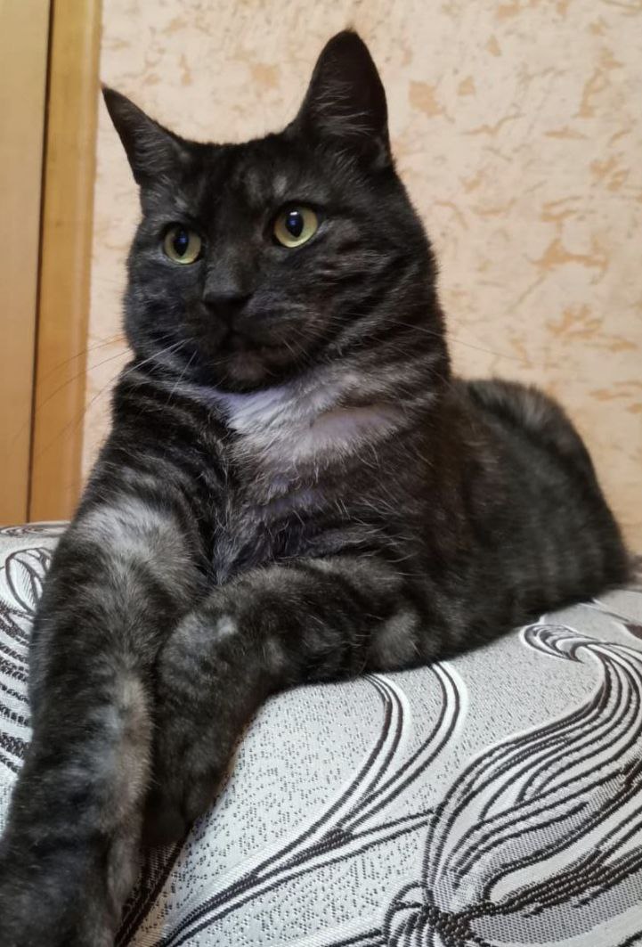 Вера Кондратьева: ДОБРЫЙ ВЕЧЕР. ХОРОШЕГО ЗАВЕРШЕНИЯ ВЫХОДНЫХ