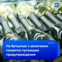 На бутылках алкоголя хотят указывать количество смертей, болезней и увольнений из-за его употребления