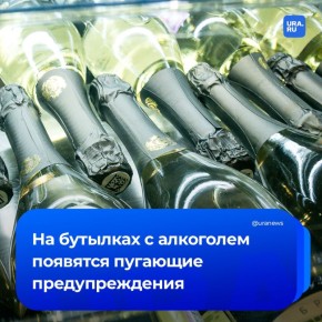 На бутылках алкоголя хотят указывать количество смертей, болезней и увольнений из-за его употребления