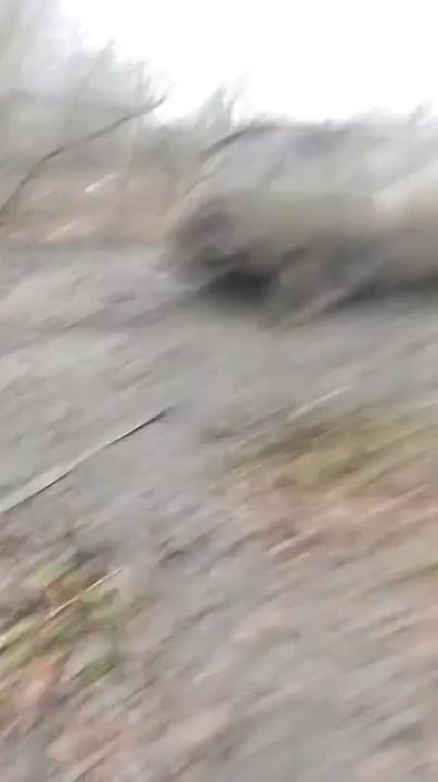 Атмосфера СВО. Фронтовые моменты взаимовыручки