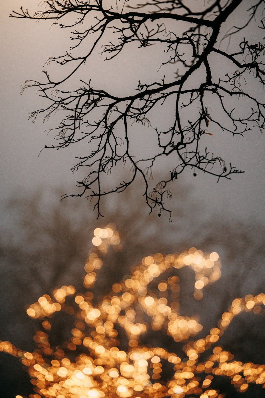 8 декабря в Псковской области ожидается облачная погода 8 декабря в Псковской области ожидается облачная погода