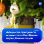 Не верьте в сказочные цены: как мошенники обманывают россиян в предновогодней суете