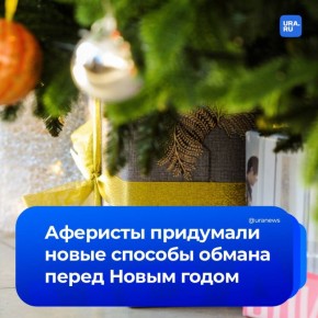 Не верьте в сказочные цены: как мошенники обманывают россиян в предновогодней суете