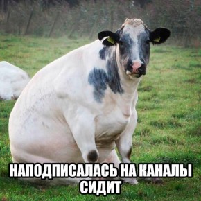 Цифра дня: 87,7 тысяч — ровно столько каналов зарегистрированы в мессенджере MAX