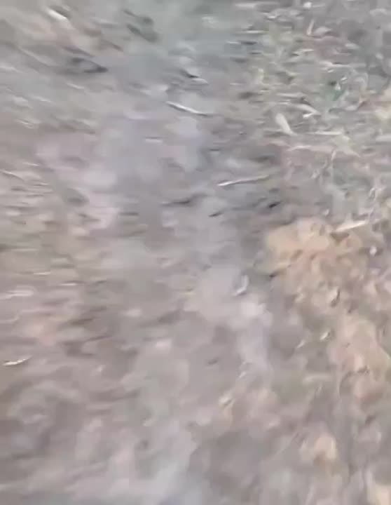 Евгений Поддубный: Ни спецназ Буданова, ни иностранные наёмники не смогли улучшить положение остатков украинской группировки в запорожском Степногорске