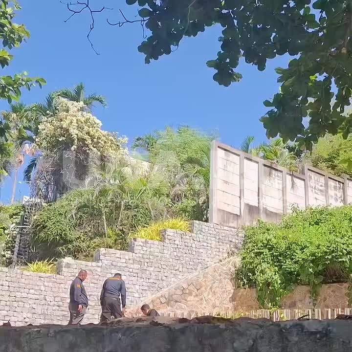 Петербуржца, который ночевал на улицах Паттайи и два месяца жил с просроченной визой, задержала миграционная полиция