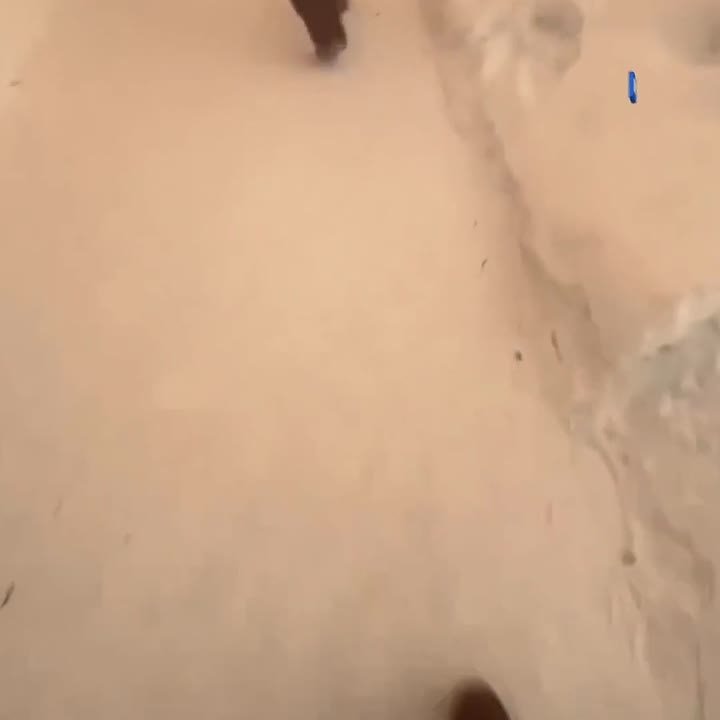 670 человек эвакуировали из педагогического колледжа в Новосибирске