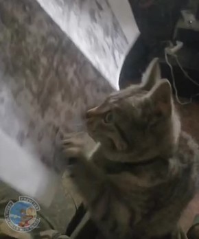 Одно из составляющих успешно выполненной задачи - это сплочённость и взаимодействие