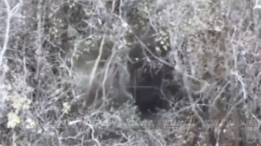 Операторы БЛА 19 полка РХБ защиты 29 армии группировки войск "Восток" уничтожают рисковых хлопчиков из одиозной 67 механизированной бригады ВСУ, которые попытались просочиться через реку Волчья на территорию, подконтрольную...