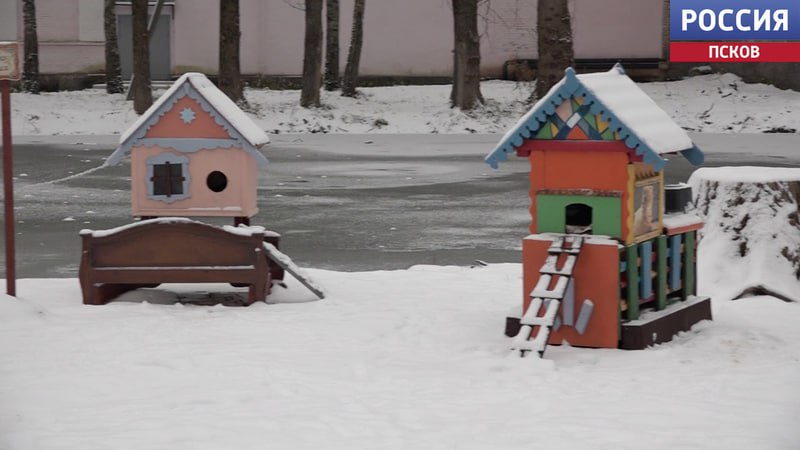 "Усадьба кошачьих" разрастается в Великолукском районе "Усадьба кошачьих" разрастается в Великолукском районе