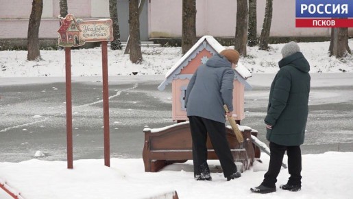 "Усадьба кошачьих" разрастается в Великолукском районе