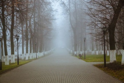 Облачную погоду, до +6 градусов прогнозируют в Псковской области 10 декабря