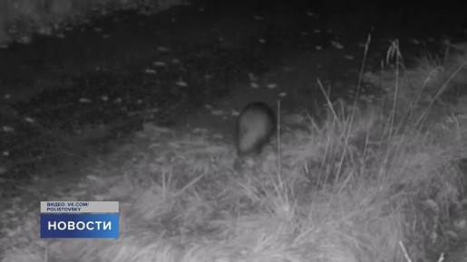 Бег трусцой приставными шагами