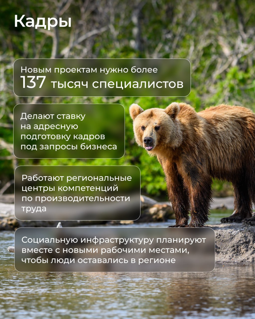 Как строить бизнес на Дальнем Востоке: что важно знать о приоритетах в господдержке Как строить бизнес на Дальнем Востоке: что важно знать о приоритетах в господдержке
