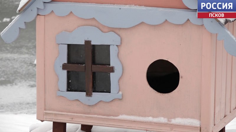 "Усадьба кошачьих" разрастается в Великолукском районе "Усадьба кошачьих" разрастается в Великолукском районе