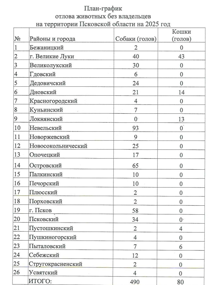 В Псковской области до конца 2025 года планируют отловить 570 бездомных собак и кошек