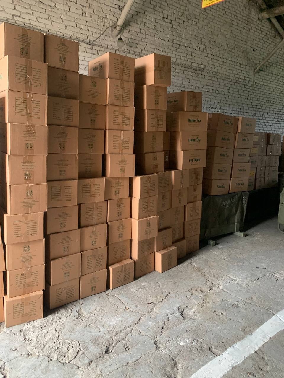 Псковский благотворитель закупил 16 с половиной тысяч упаковок чая для бойцов, которые находятся в зоне СВО