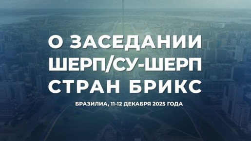 Заместитель Министра иностранных дел Российской Федерации, шерпа России в БРИКС С.А.Рябков принял участие в завершающей бразильское председательство встрече шерп/су-шерп стран объединения, состоявшейся 11-12 декабря в...