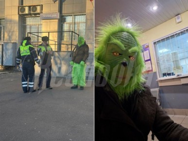 Новому году быть — питерская полиция поймала Гринча прямо посреди дороги