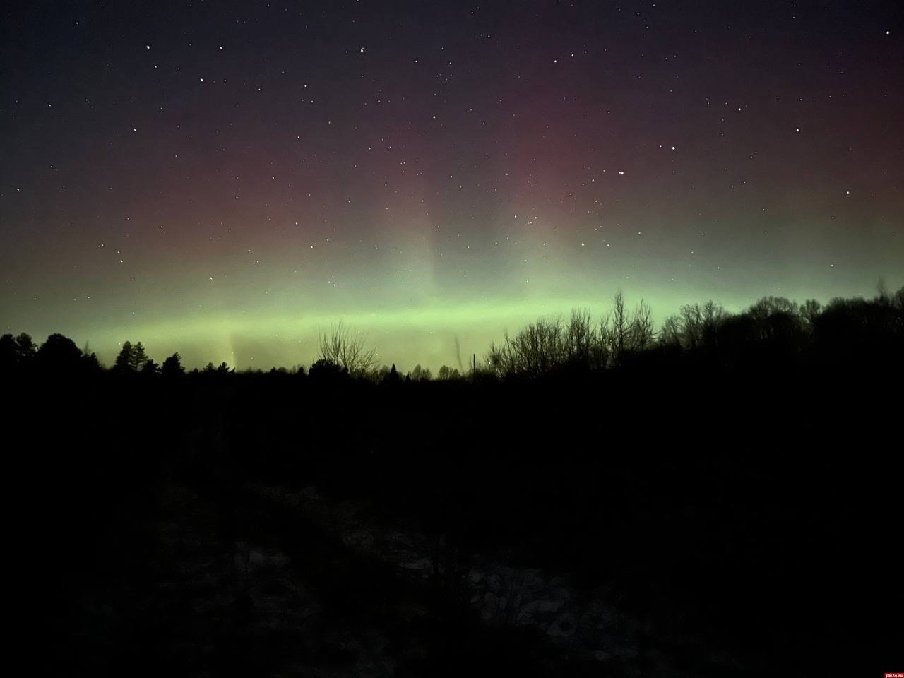 «Магия этой ночи»: полярное сияние вновь наблюдали в Псковской области «Магия этой ночи»: полярное сияние вновь наблюдали в Псковской области