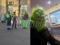 Новому году быть — питерская полиция поймала Гринча прямо посреди дороги