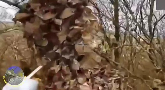 Наши операторы дронов поделились результатами своей работы по очищению российской земли от нацизма!