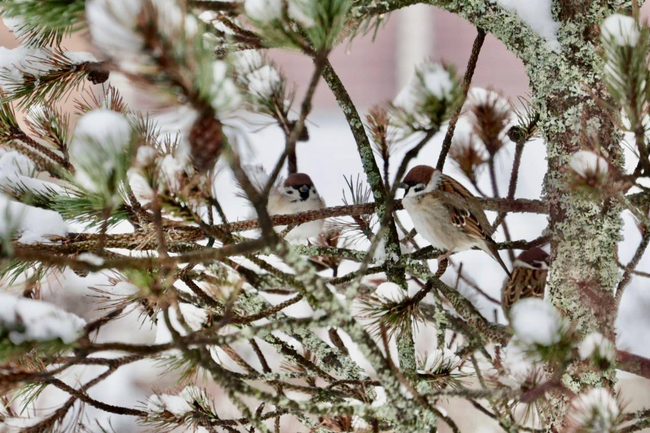 Вячеслав Володин: Первые зимние дни на истоке Днепра Вячеслав Володин: Первые зимние дни на истоке Днепра