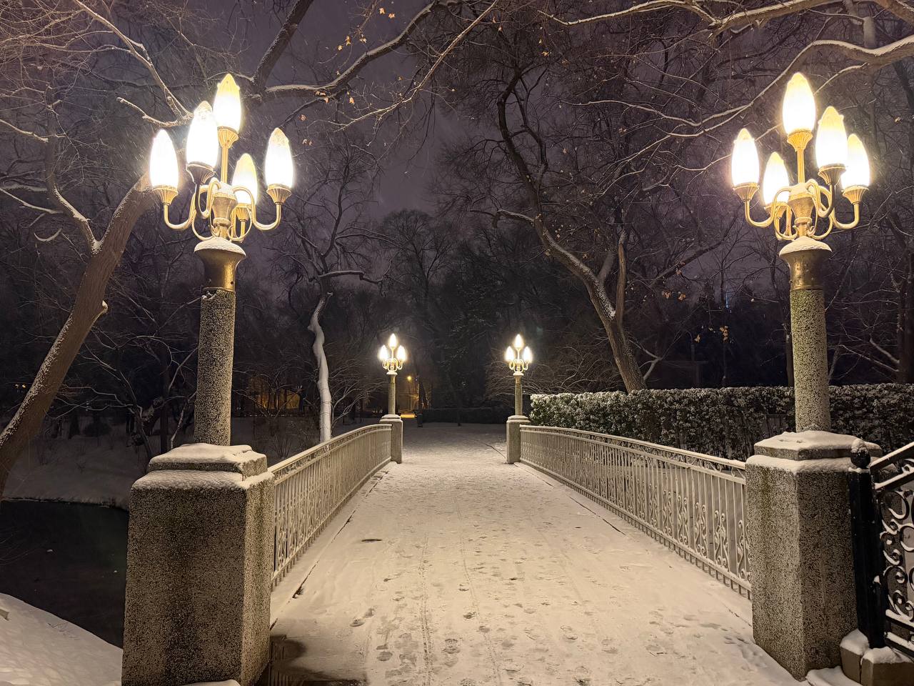 12 декабря в день проведения в Посольстве мероприятия “Discover Russia” в Пекине выпал первый снег (, кит 12 декабря в день проведения в Посольстве мероприятия “Discover Russia” в Пекине выпал первый снег (, кит