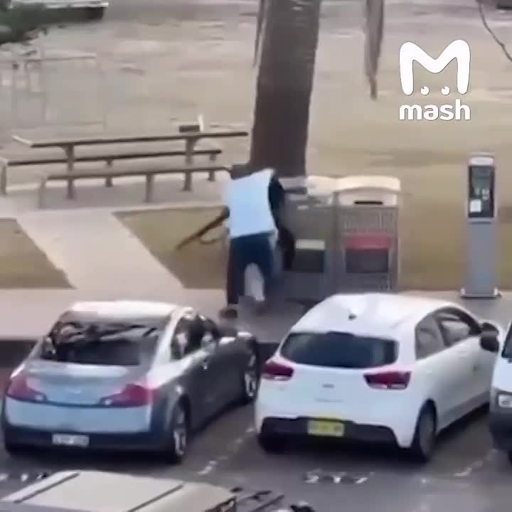 Одного из стрелков на пляже в Австралии обезвредил случайный прохожий