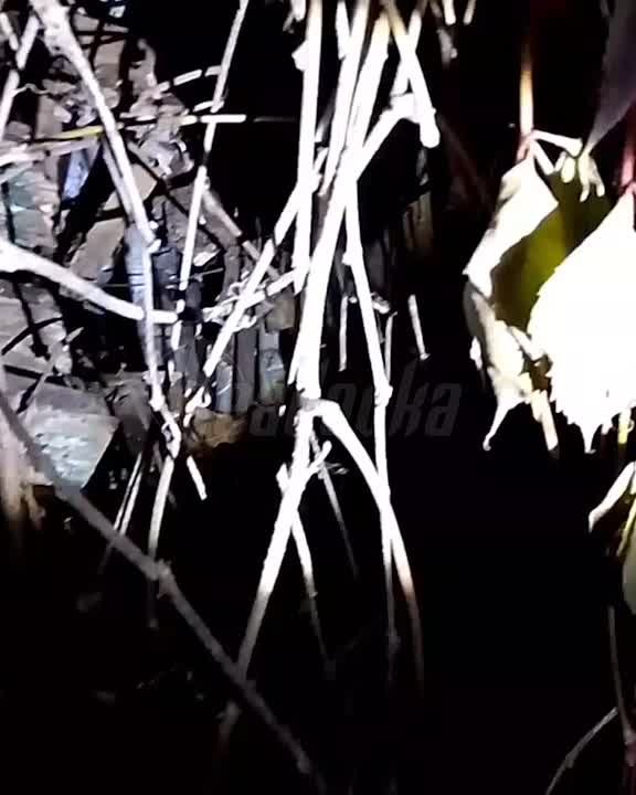 82-летняя пенсионерка с больной дочерью живет в разваливающемся бараке в Тверской области