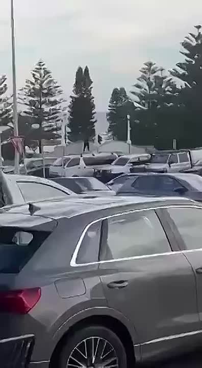 Беспорядочная стрельба по отдыхающим: в Сиднее неизвестные открыли огонь во время празднования Хануки