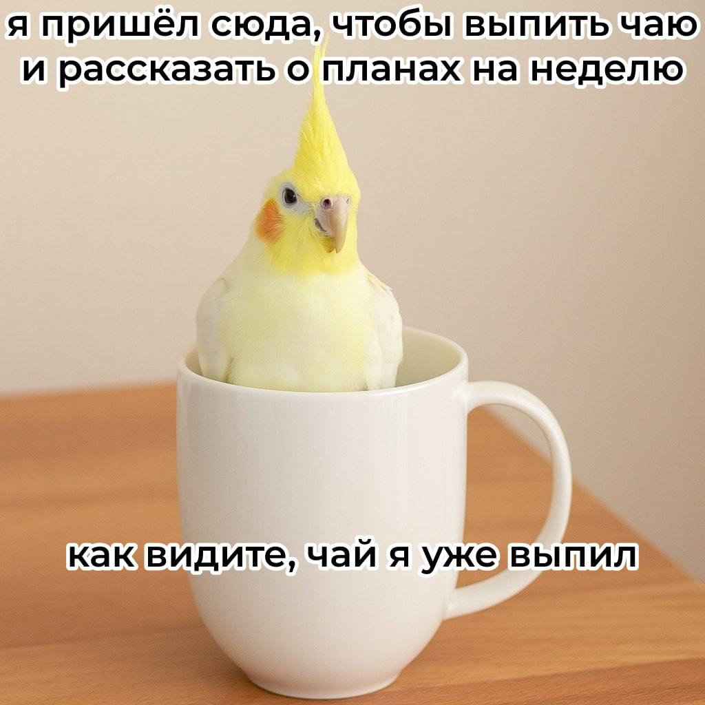 Сегодня День чая, а это значит, самое время заварить чашечку любимого напитка и посмотреть наши планы на неделю