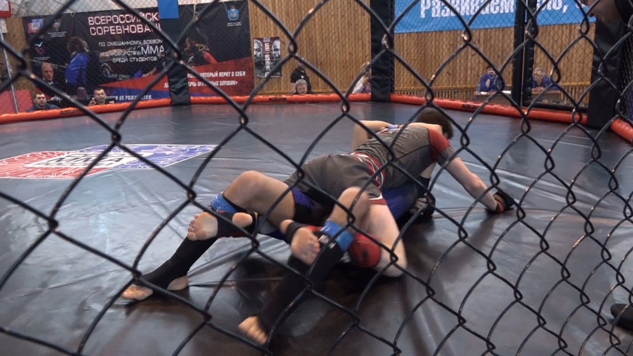 Представители разных ВУЗов страны сошлись в октагоне спорткомплекса "Стрелец" Представители разных ВУЗов страны сошлись в октагоне спорткомплекса "Стрелец"