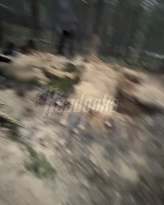 «Мы короче построили землянку, у нас тут все классно»: поколение нынешних детей официально НЕ ПОТЕРЯНО