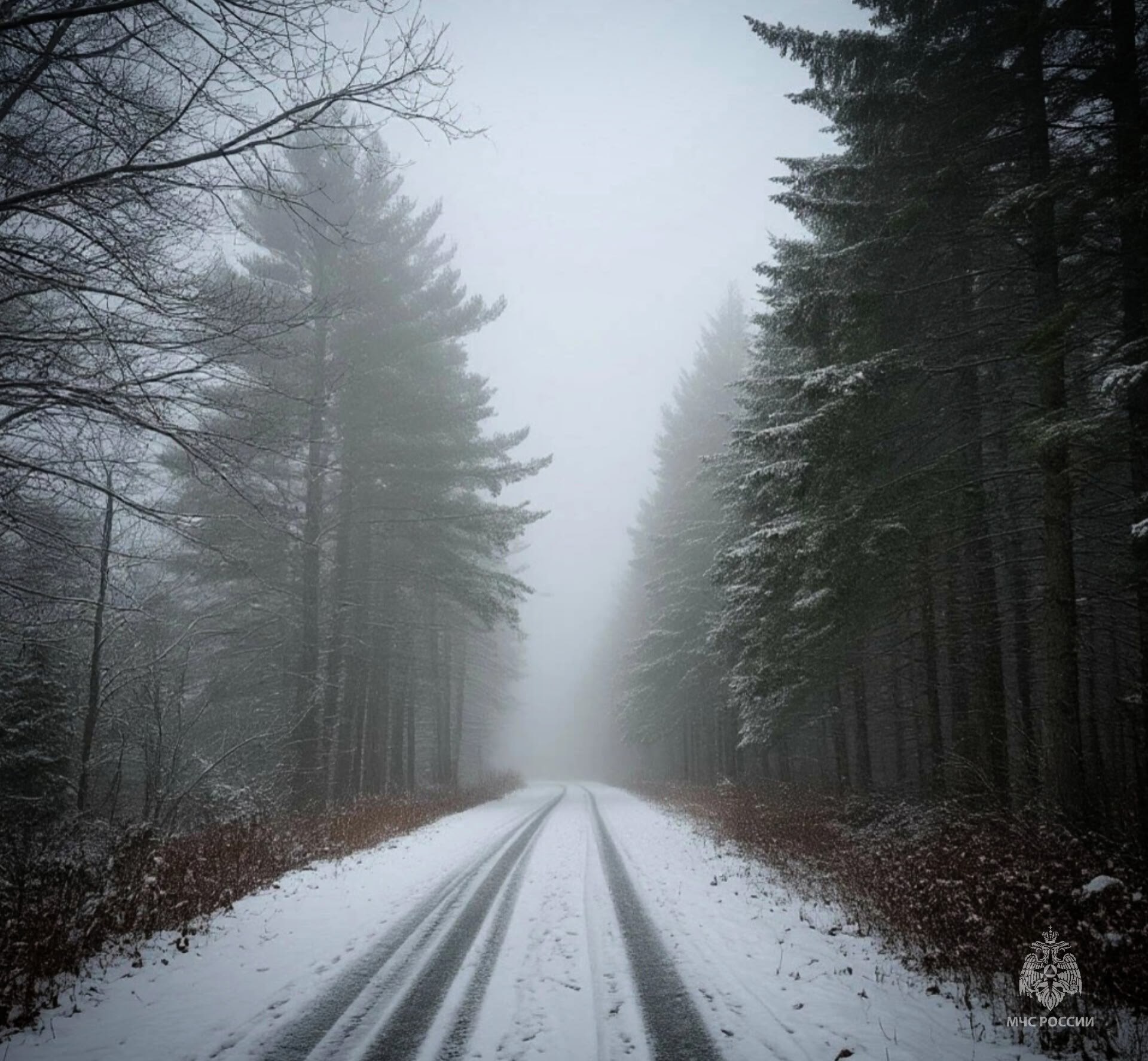 МЧС России предупреждает: на территории Псковской области ожидается туман
