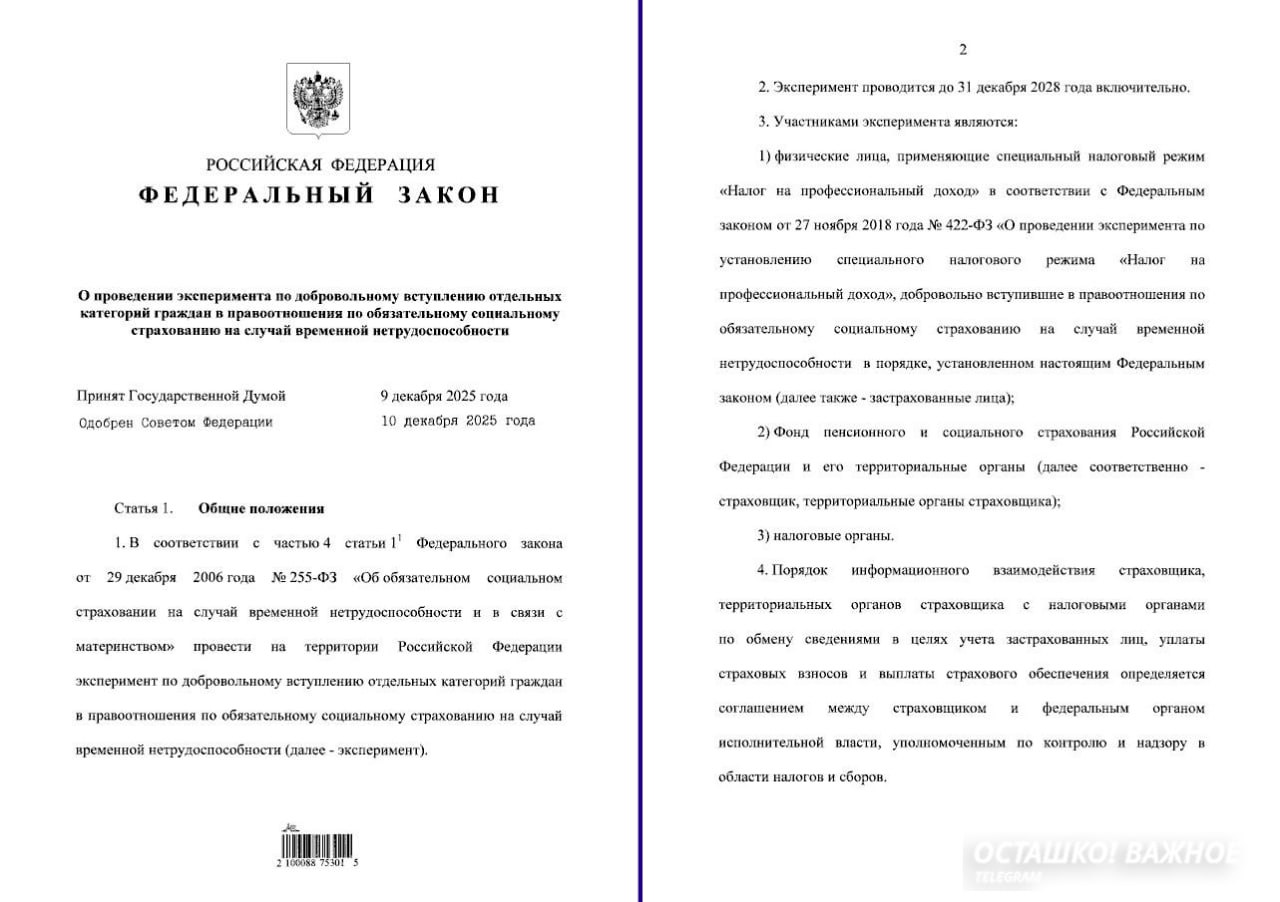 Больничные для самозанятых и запрет на обязательные работы для опекунов детей: подписаны новые законы Больничные для самозанятых и запрет на обязательные работы для опекунов детей: подписаны новые законы