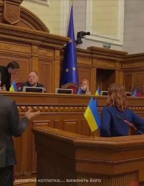 В мире животных