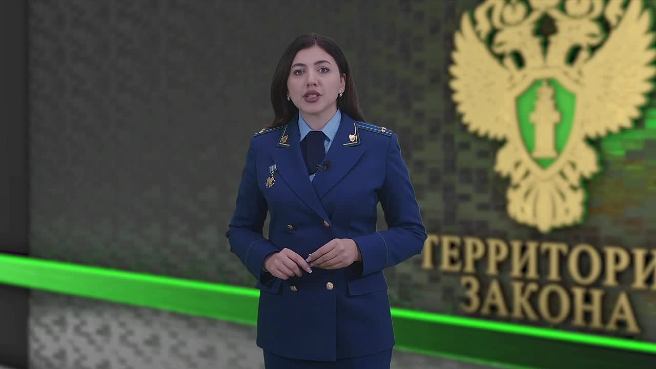 #Территория_закона. Публикуем полный выпуск программы «Территория закона»