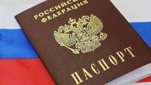 Число получений гражданства РФ снизилось на треть